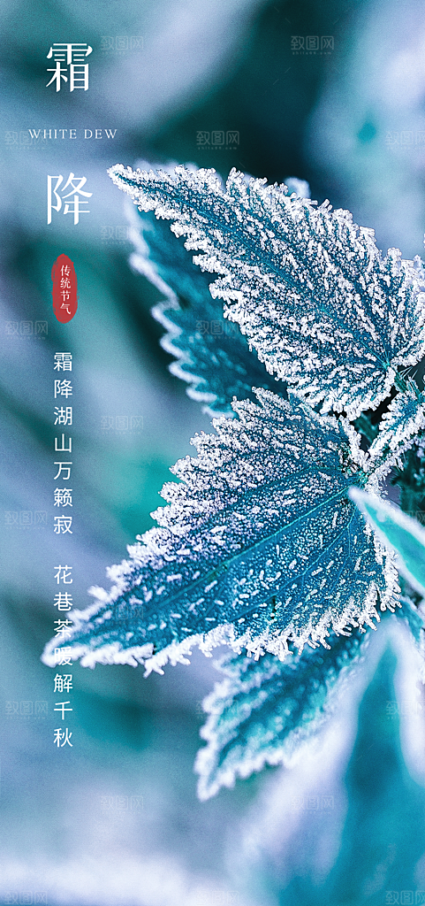 霜降节气插画唯美节日大气简约海报