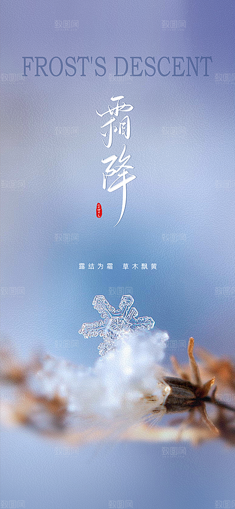 霜降节气插画唯美节日大气简约海报