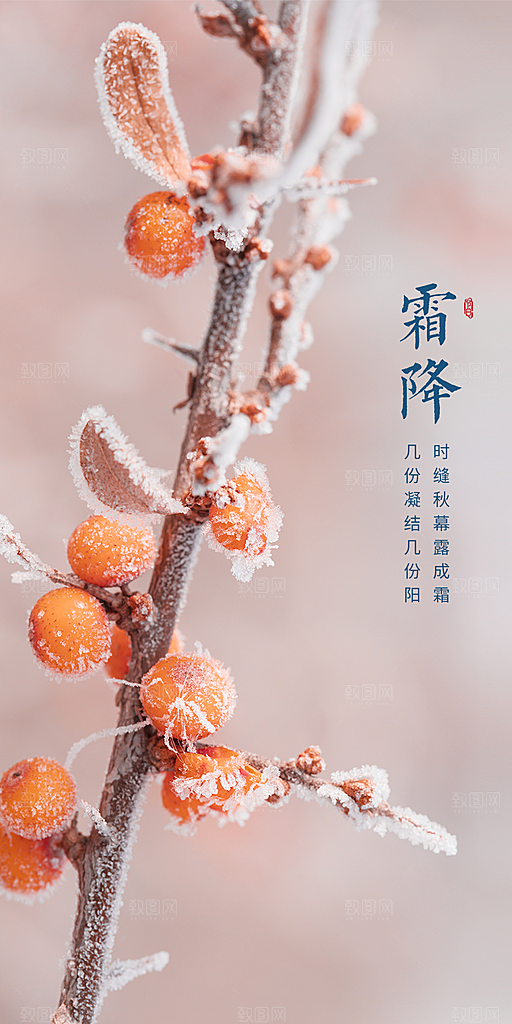 霜降节气插画唯美节日大气简约海报
