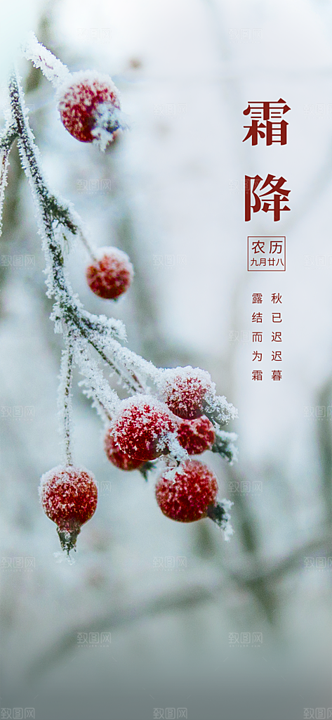 霜降大气节气简约唯美插画节日海报