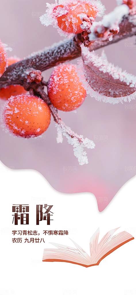 霜降大气节气简约唯美插画节日海报