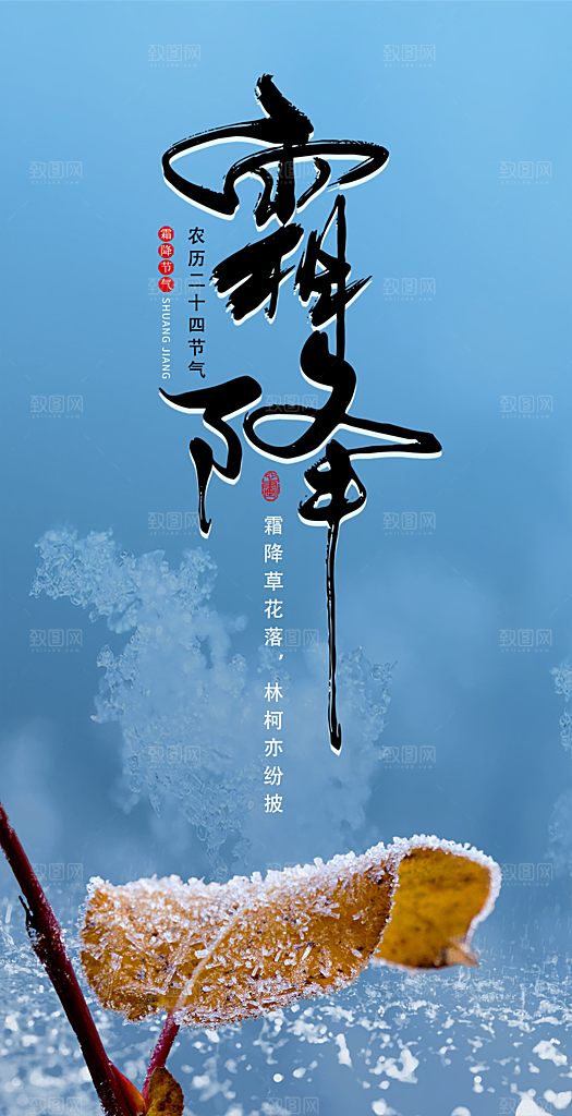 霜降节日简约插画大气节气唯美海报