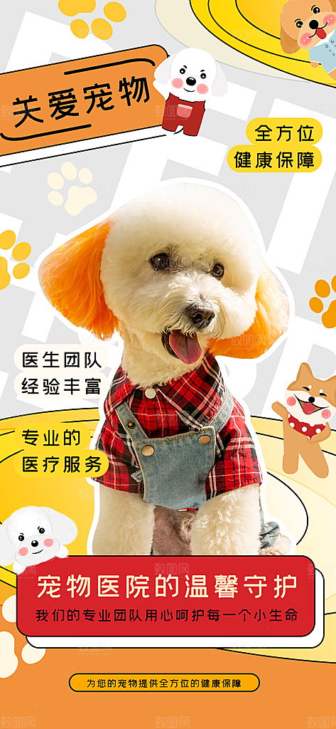 宠物乐园集市宠物店寄养宣传海报