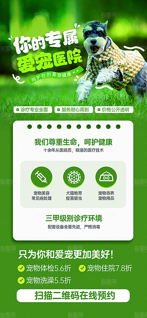 宠物乐园集市宠物店寄养宣传海报