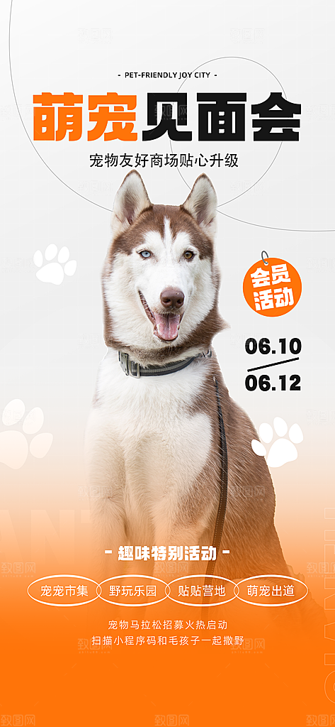 创意宠物乐园集市宠物店寄养宣传海报