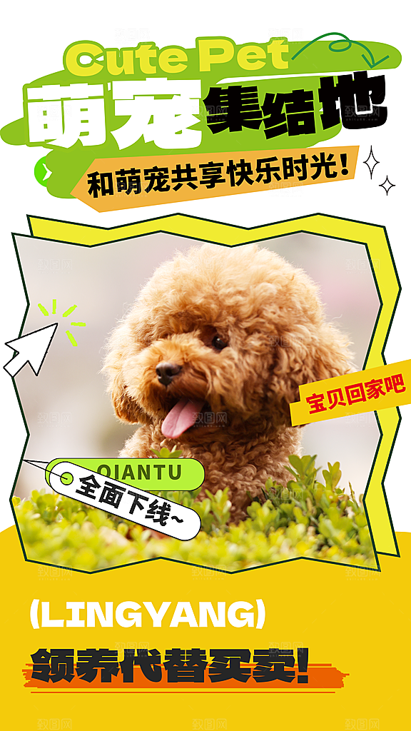 宠物乐园集市宠物店寄养宣传海报