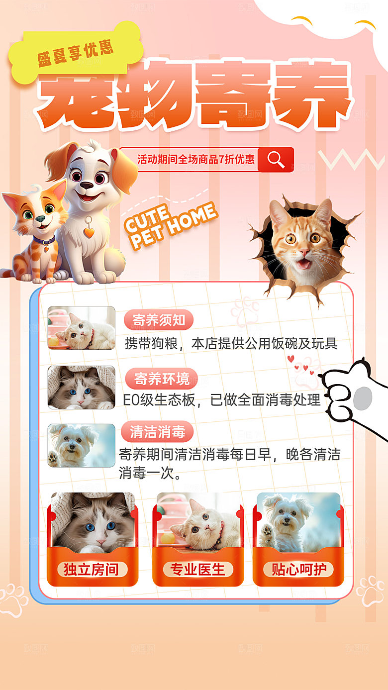 宠物乐园集市宠物店寄养宣传海报