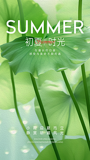 高端立夏节气宣传海报