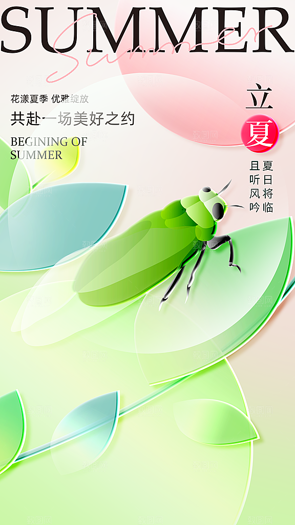 清新立夏节气宣传海报
