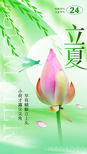大气立夏节气宣传海报