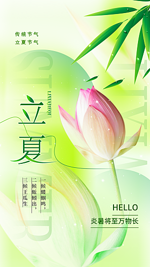 大气立夏节气宣传海报
