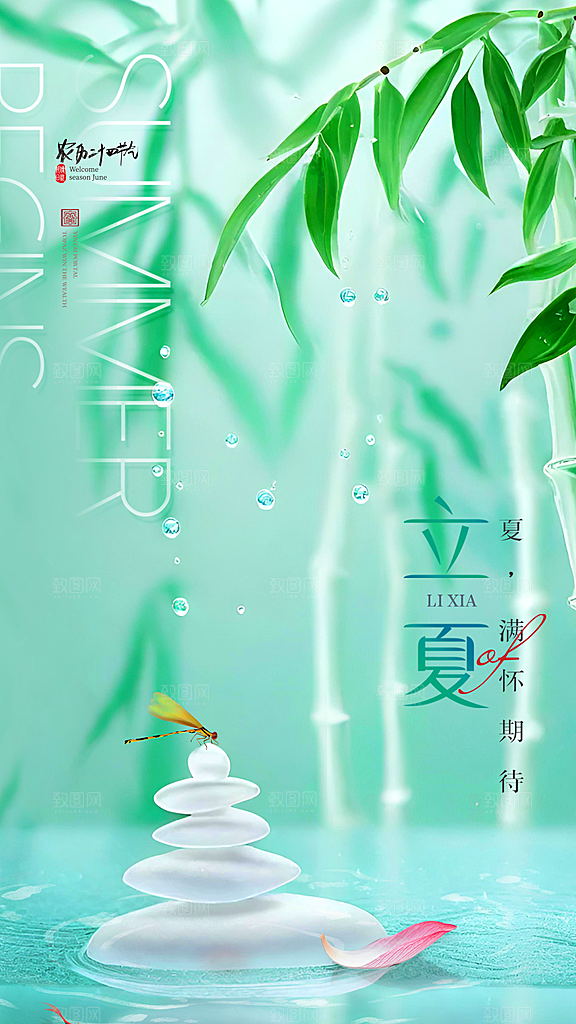 大气立夏节气宣传海报