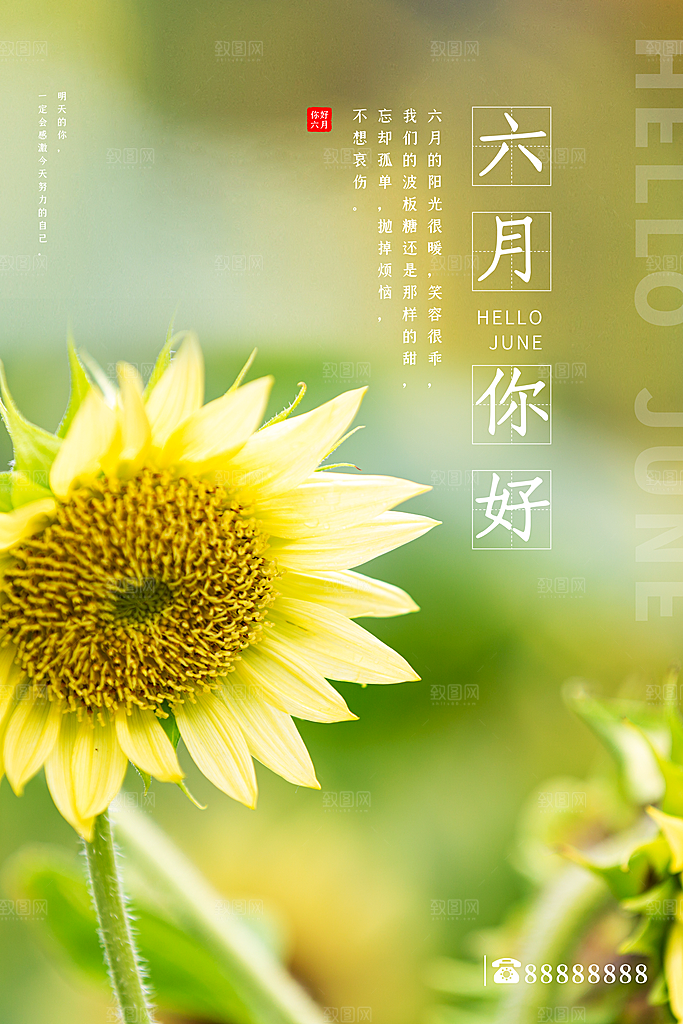 时尚六月你好宣传海报