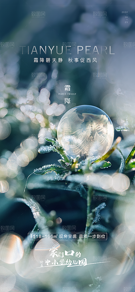 霜降插画节气唯美国风传统海报