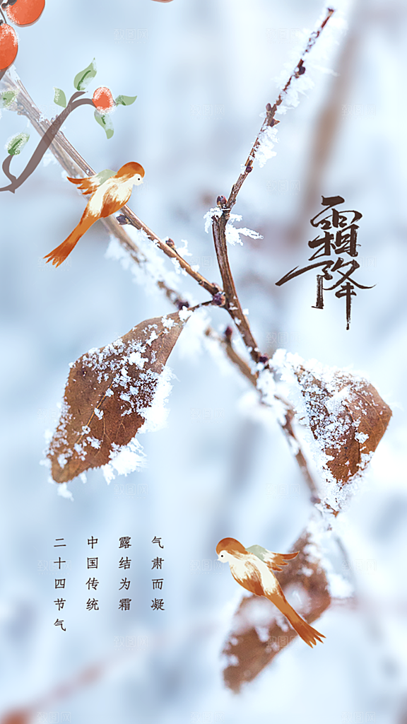 霜降国风节气唯美传统插画海报
