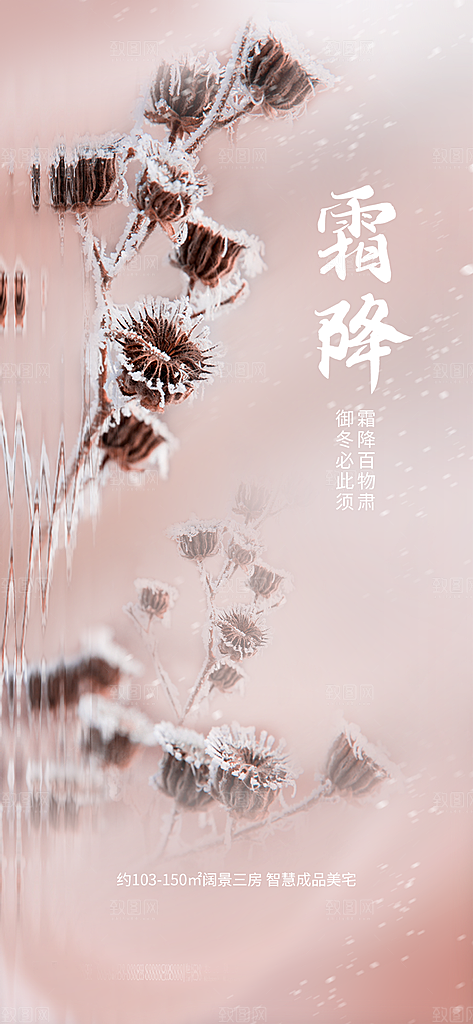 霜降节气插画国风传统唯美海报
