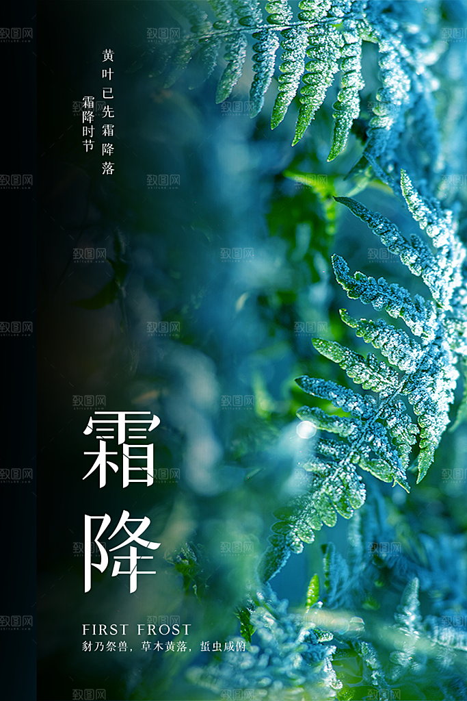 霜降节气插画国风传统唯美海报