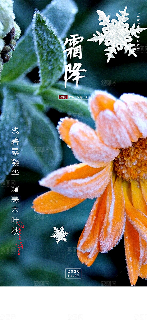 霜降节气插画国风传统唯美海报