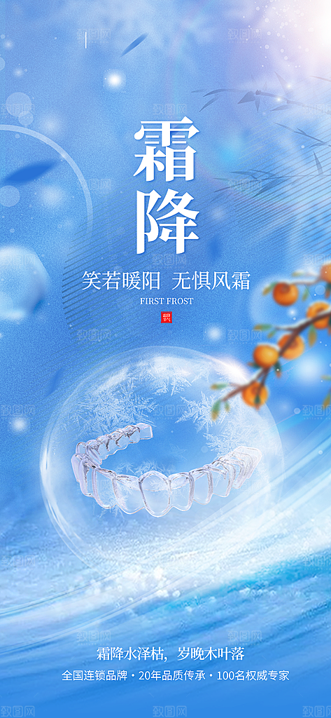 霜降唯美节气国风插画传统海报