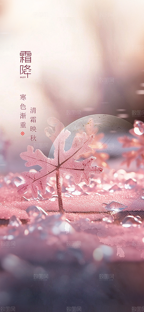霜降插画传统唯美节气国风海报