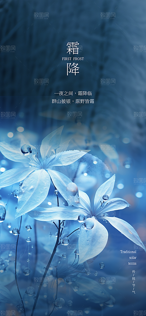 霜降插画传统唯美节气国风海报