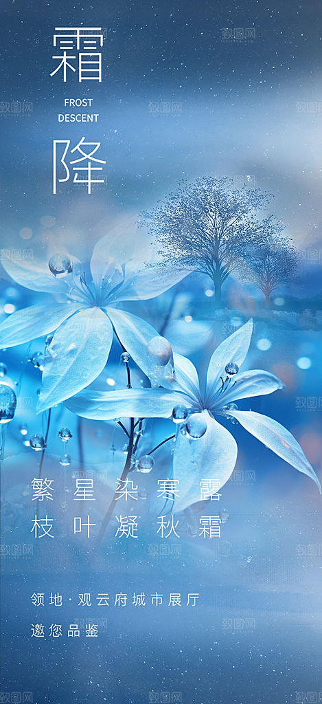 霜降插画传统唯美节气国风海报