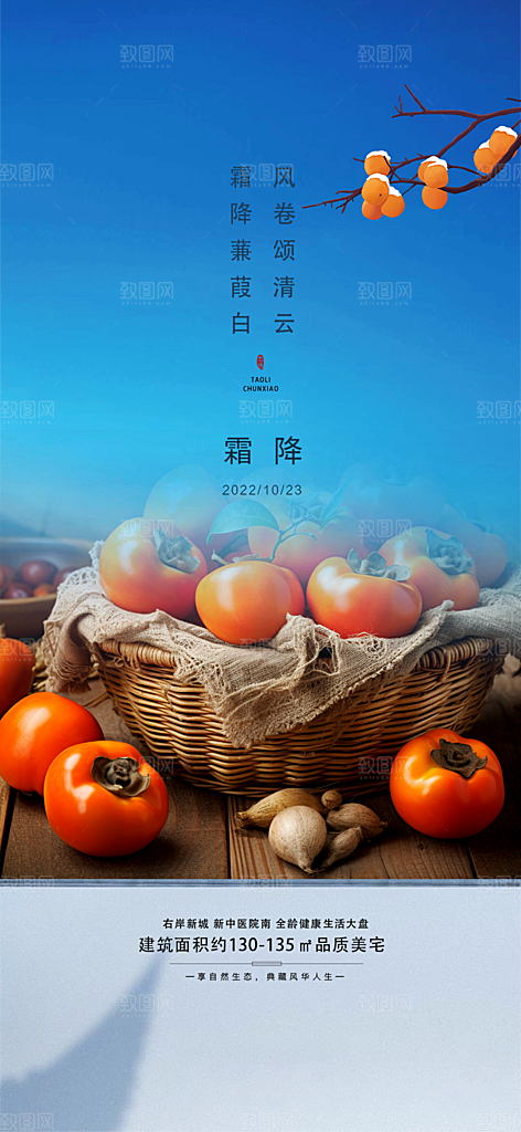 霜降插画传统唯美节气国风海报