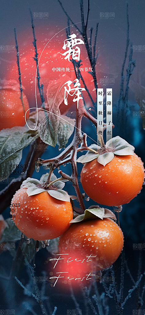 霜降插画传统唯美节气国风海报