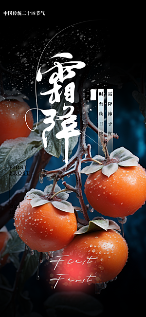 霜降传统插画唯美国风节气海报