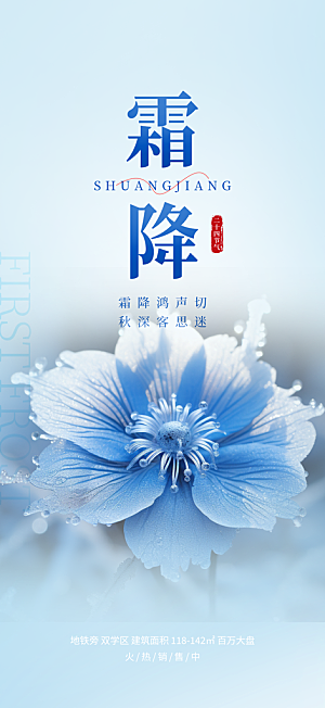 2024年霜降节气宣传海报