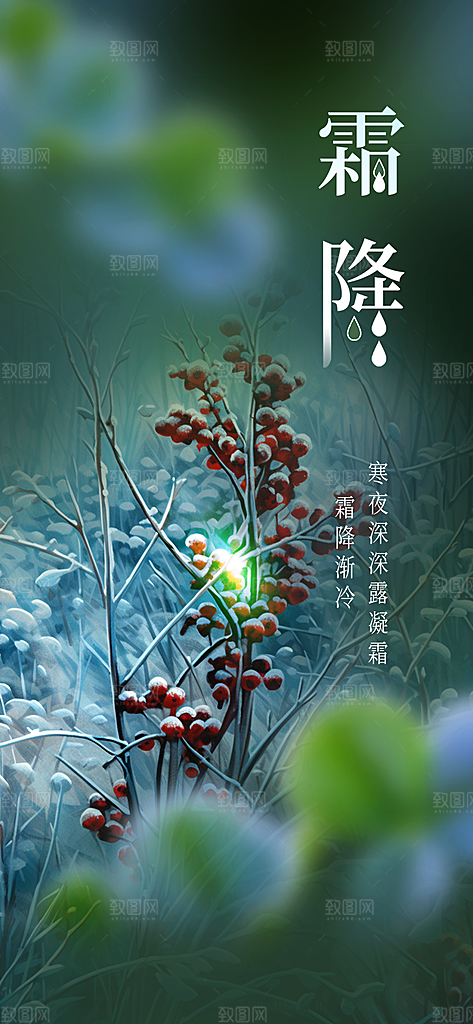 2024年霜降节气宣传海报