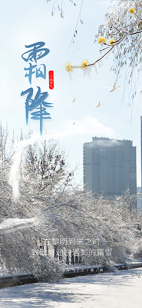 2024年霜降节气宣传海报