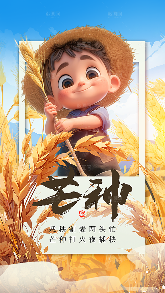 时尚芒种节气宣传海报