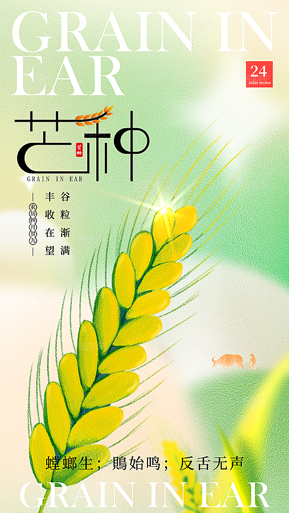 时尚芒种节气宣传海报