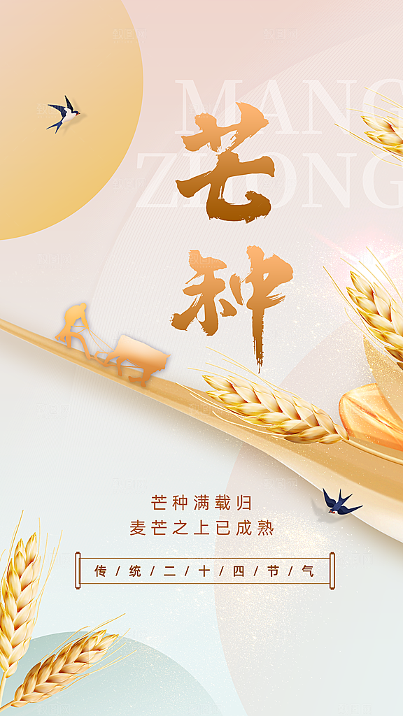 时尚芒种节气宣传海报