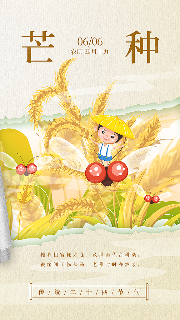 时尚芒种节气宣传海报