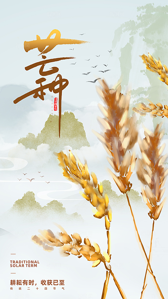 时尚芒种节气宣传海报