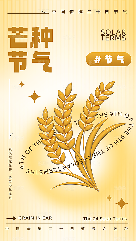 时尚芒种节气宣传海报