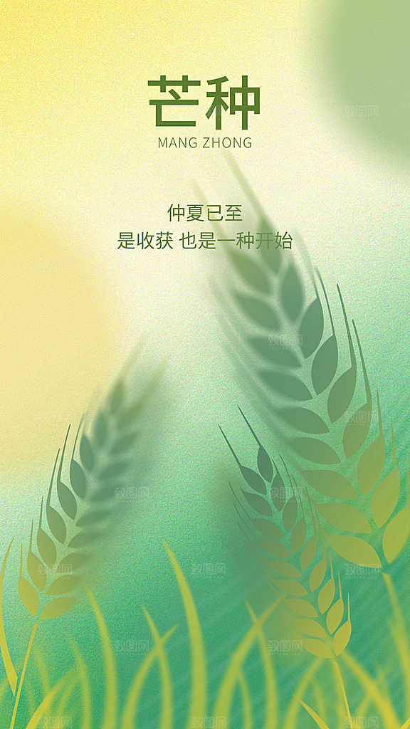 清新芒种节气宣传海报