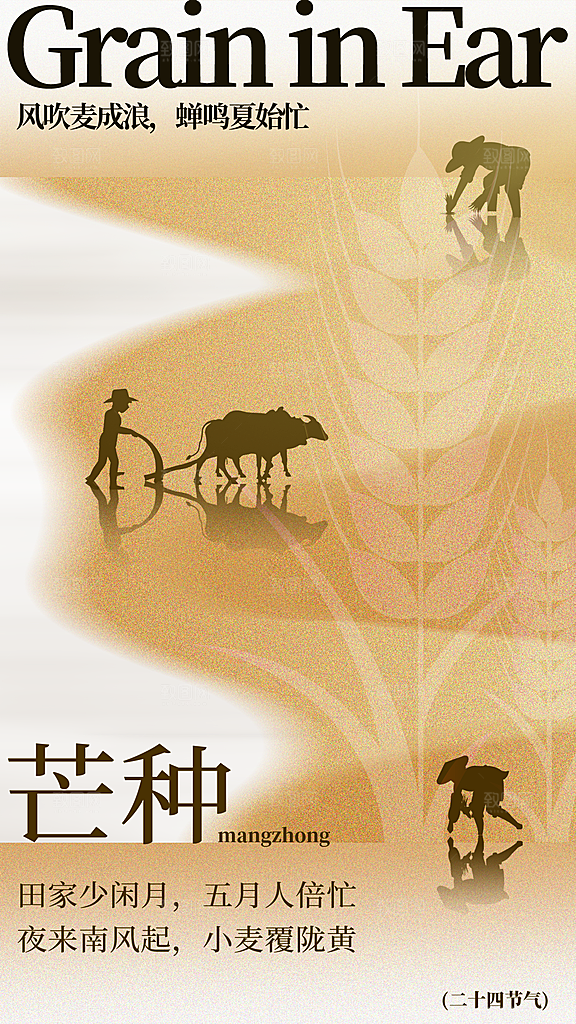 清新芒种节气宣传海报