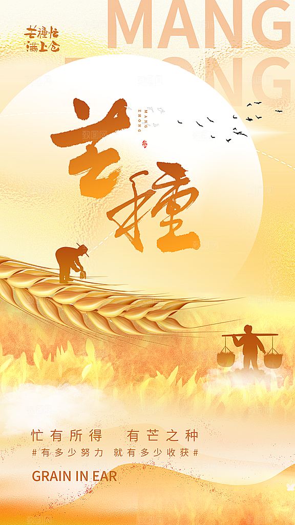 大气芒种节气宣传海报