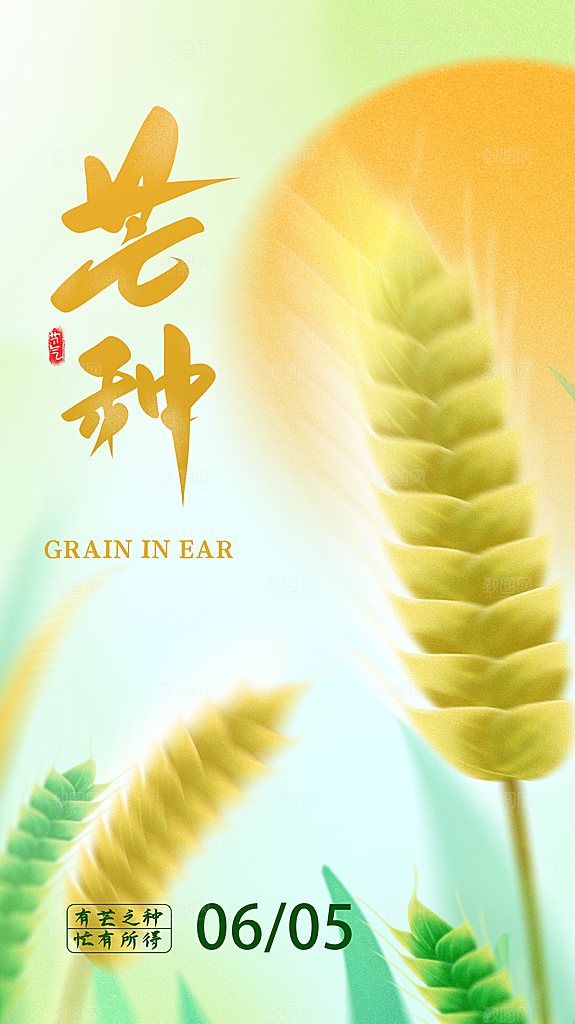 大气芒种节气宣传海报