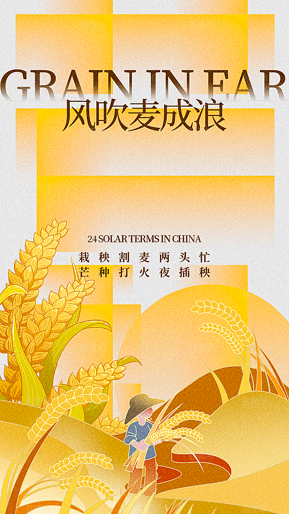 大气芒种节气宣传海报