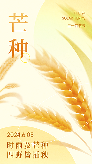 大气芒种节气宣传海报