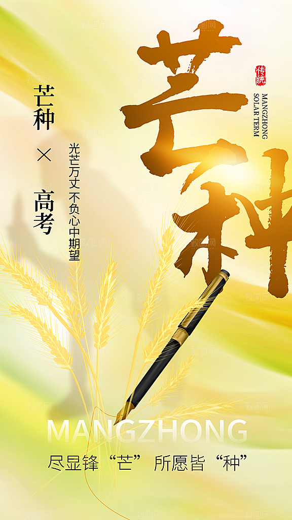 大气芒种节气宣传海报