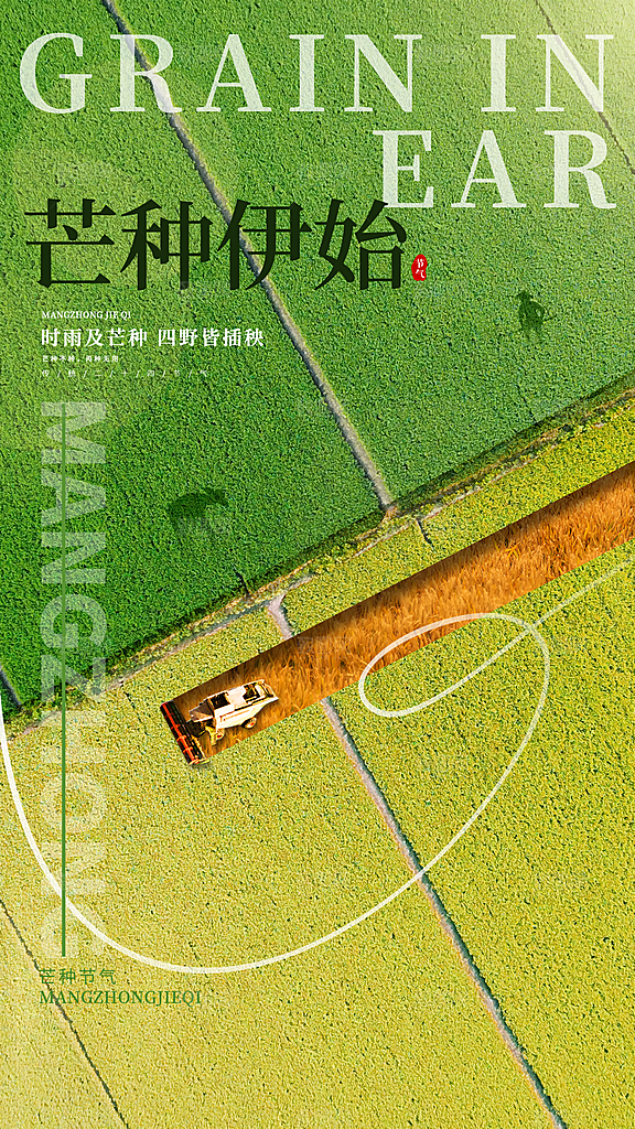 大气芒种节气宣传海报