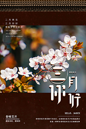 大气三月你好宣传海报