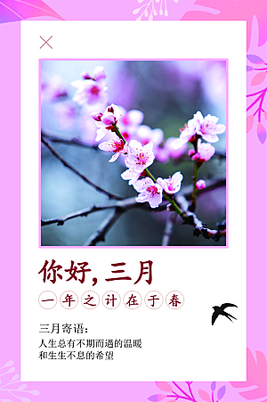 大气三月你好宣传海报