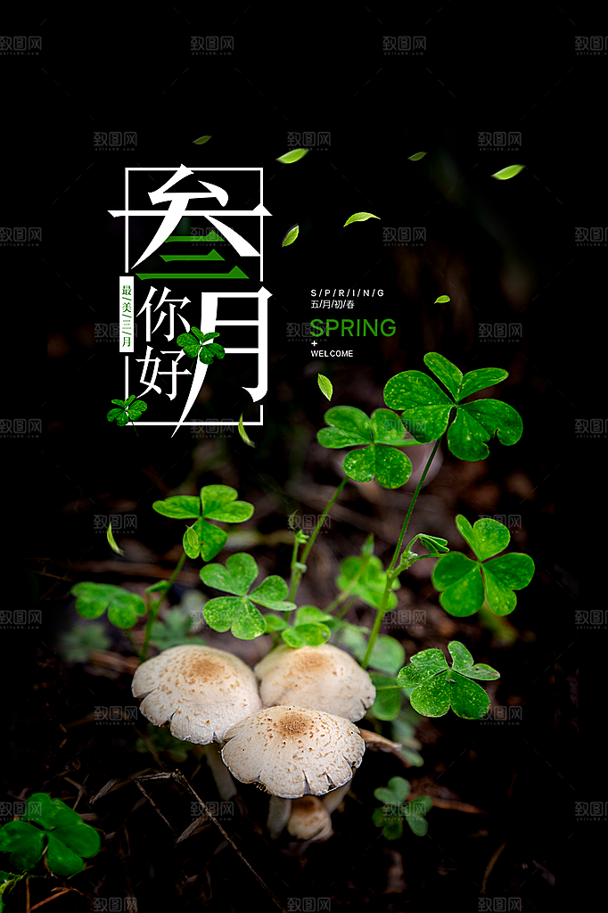 三月你好宣传海报