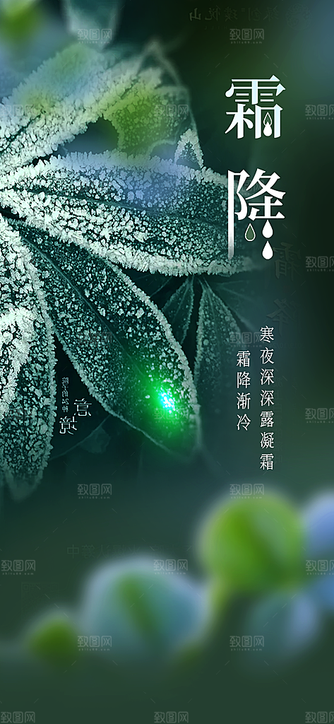 节气霜降宣传海报